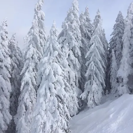 Gantekopfhutte Appartamento